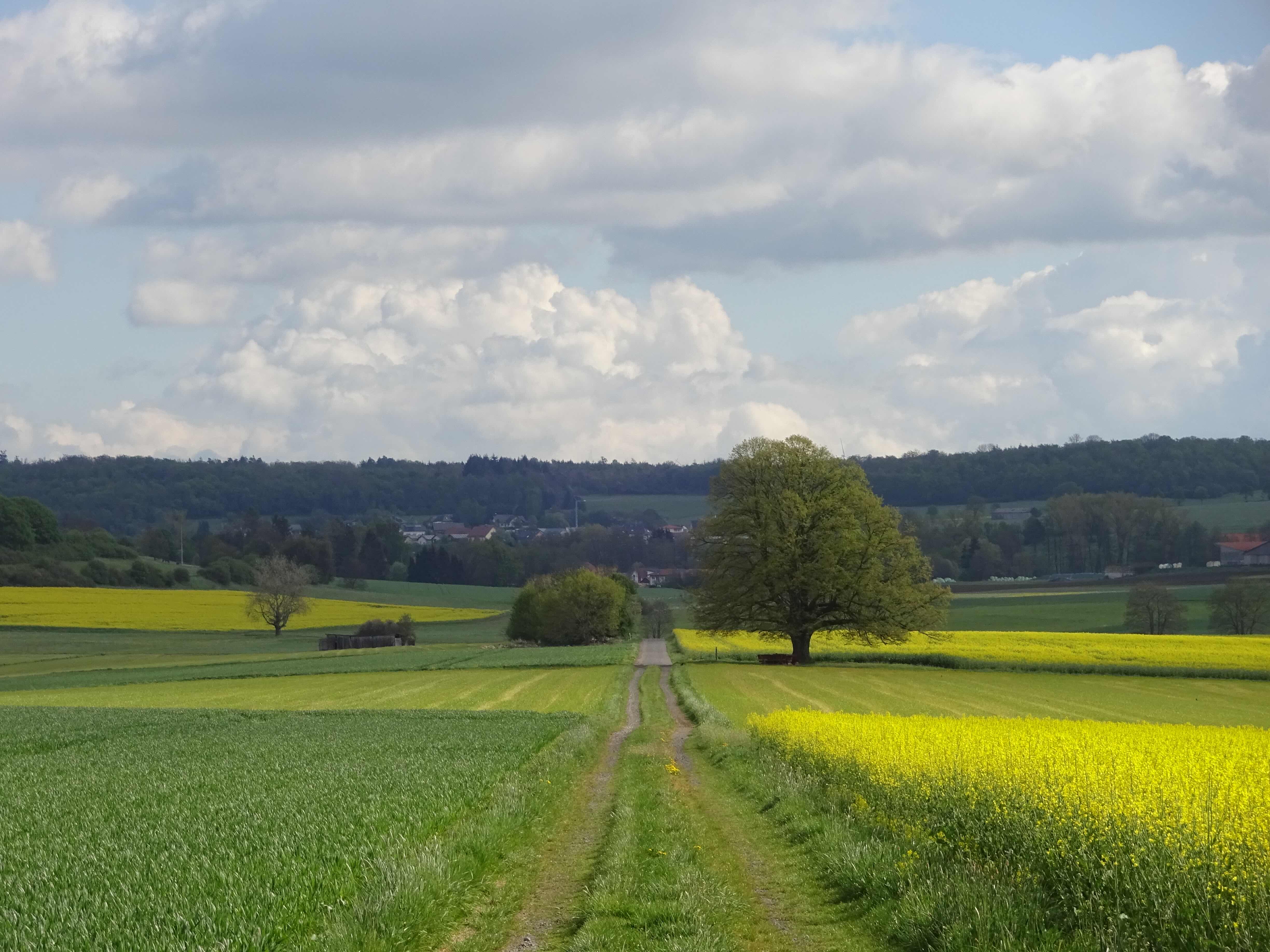 241024der gastfreundliche weg DSC02929