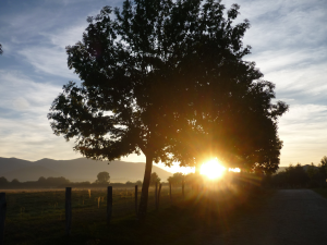 Die Sonne geht hinter einem großen Baum neben einer Landstraße unter und wirft lange Schatten und ein warmes Licht auf ein grasbewachsenes Feld mit fernen Bergen und einem teilweise bewölkten Himmel im Hintergrund.