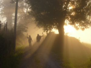 Zwei Personen mit Wanderstöcken wandern auf einem von Bäumen umgebenen Feldweg, während das Sonnenlicht durch den Nebel dringt und dramatische Strahlen auf die Szene wirft.