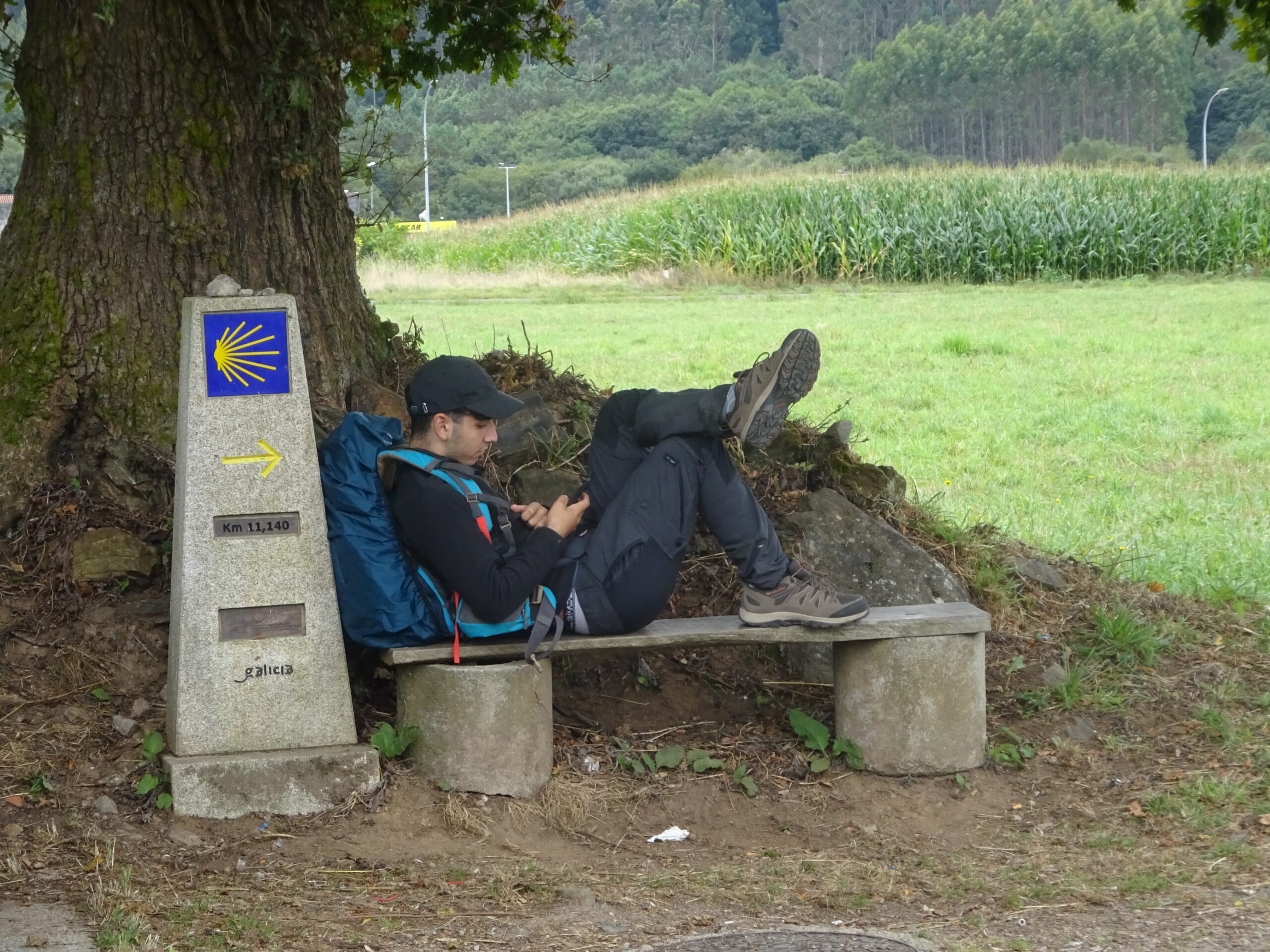 Ein Wanderer mit blauem Rucksack sitzt auf einer Bank an einem Meilenstein auf dem Jakobsweg und schaut auf sein Handy, während im Hintergrund grüne Felder und Bäume zu sehen sind.