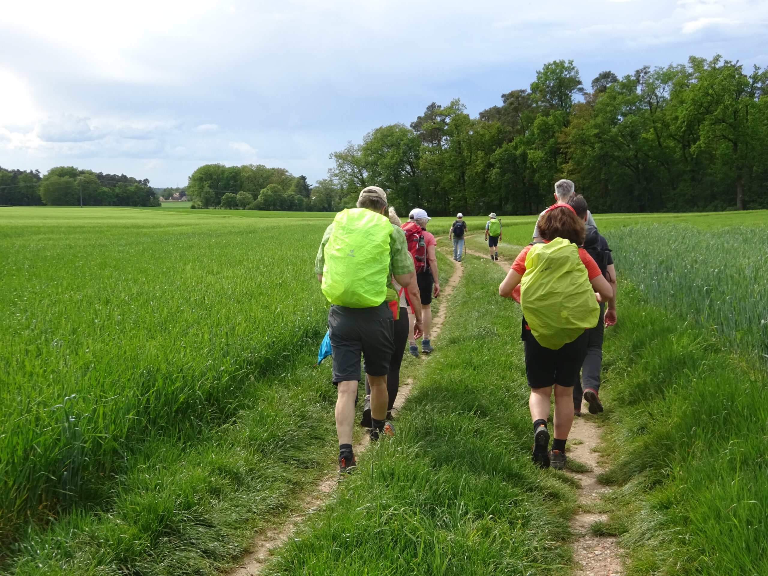 Eine Gruppe von Wanderern mit Rucksäcken, die auf einem Feldweg durch eine grüne Wiese gehen.